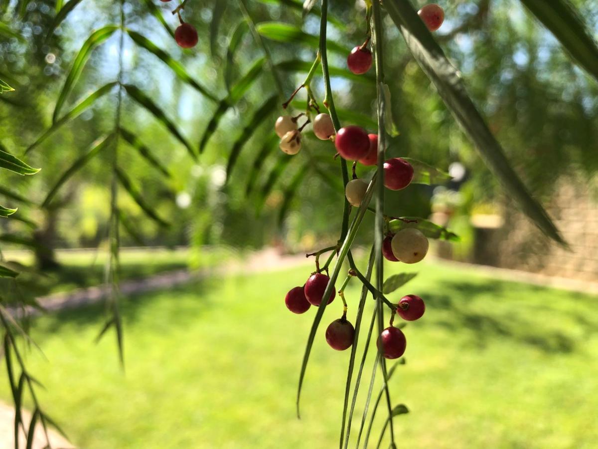 פסקרה Peperosa In Collina B&B מראה חיצוני תמונה