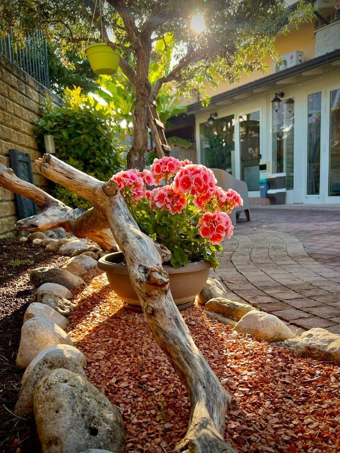 פסקרה Peperosa In Collina B&B מראה חיצוני תמונה